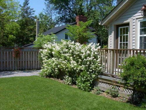 Antique Slumber Old Town Bed & Breakfast Niagara-on-the-Lake Dış mekan fotoğraf